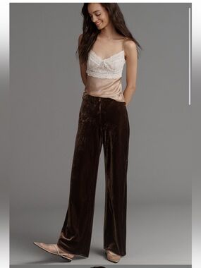 Velvet brown wideleg pants XS tall